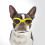 (yellow) Dog Goggles, Pet Sunglasses, Uv Protection 1