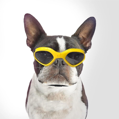 (yellow) Dog Goggles, Pet Sunglasses, Uv Protection