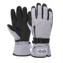 Winter Ski Gloves for Man Women Skiing Cycling, Touching Screen Snow Ski Gloves L