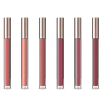 6Pcs Matte Liquid Lipstick Long Lastings Waterproof Lip Gloss Lip Makeup Kit SET B