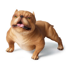 Realistic Animal Collection Plastic Dog Model DIY Artificial Hand Paint Toy C