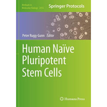 Human Nave Pluripotent Stem Cells Paperback Book