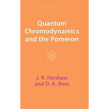 Quantum Chromodynamics and the Pomeron by J. R. Forshaw Hardcover Book