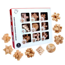 9Pcs Removing Assembling Locks Toy 3D Wooden Brains Teasers Puzzle Birthday Gift