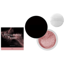 Natural Face Finishing Powder Blurring Setting Powder Wet and Dry Setting Powder PK