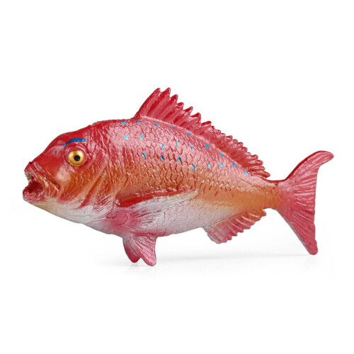 Plastic Fish Model Statue Multiple Type Ornament Figure Adult Collection Model red snapper
