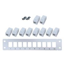 Ethernet Patch Panel CAT6 10 Port RJ45 Wall & Rack Mount Keystone Jack Module