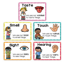 5Pcs Five Senses Learning Poster Cards Set For Toddler Kids Early Education