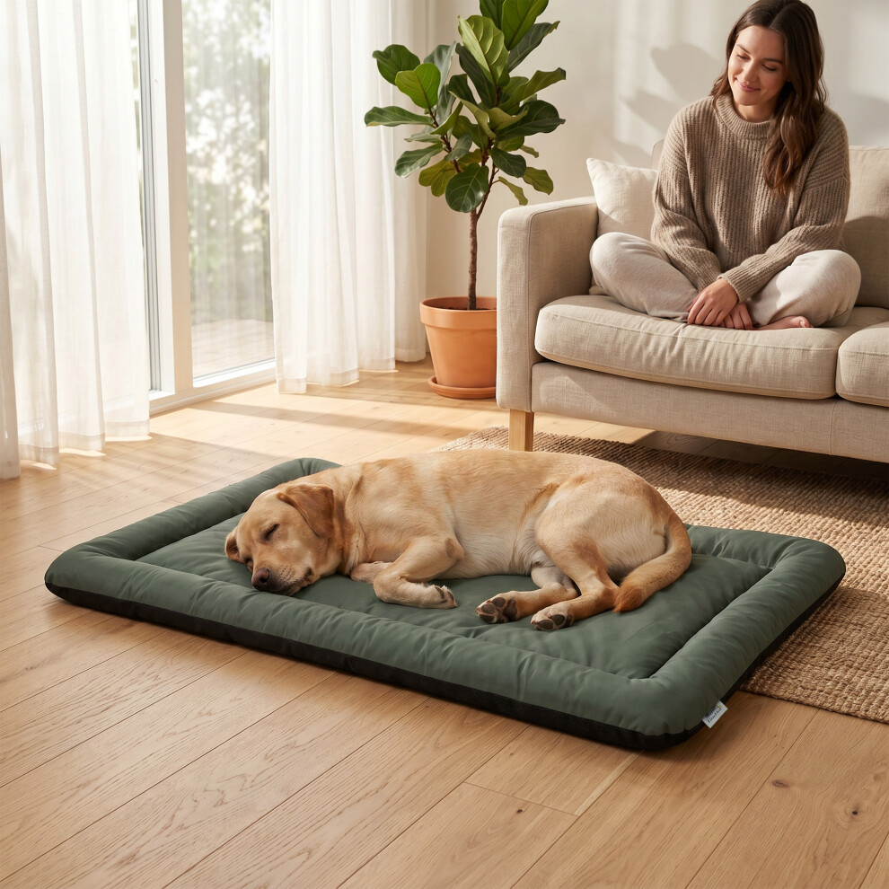 Pawhut Waterproof Dog Bed Foldable Washable With Anti-Slip Bottom, Green