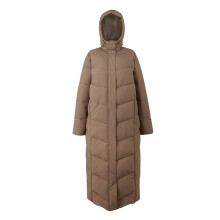 (20 UK, Mocha) Regatta Womens/Ladies Eloria Padded Jacket