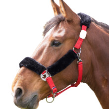 (Pony, Red/Black) Shires Fleece Lined Horse Headcollar