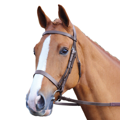 (X Full, Havana) Aviemore Plain Leather Horse Bridle