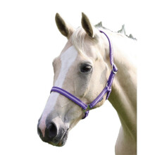 (Small Pony, Purple/Lilac) Wessex Horse Headcollar
