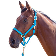 (X Full, Blue) Shires Topaz Nylon Horse Headcollar