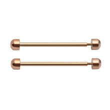 2Pcs Watch Strap Screw Tube Rods Friction Pin Clasp Bracelet Fixng for Rose Gold 20mm