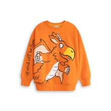 (3-4 Years) Gruffalo & Friends Zog Sweatshirt (Unisex Kids Orange)