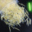 100Pcs Fishing Fluorescent Light Stick Tip Glow Stick Replacement Part 3.0mm 11