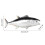 Plastic Fish Model Statue Multiple Type Ornament Figure Adult Collection Model red snapper 6
