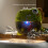 Kids Dinosaur Bath Toy with Bubble Maker, Bath Routine Fun Toy 10