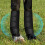 Horse Leg Protector Wrap Horse Protective and Training Black front leg two  small 9