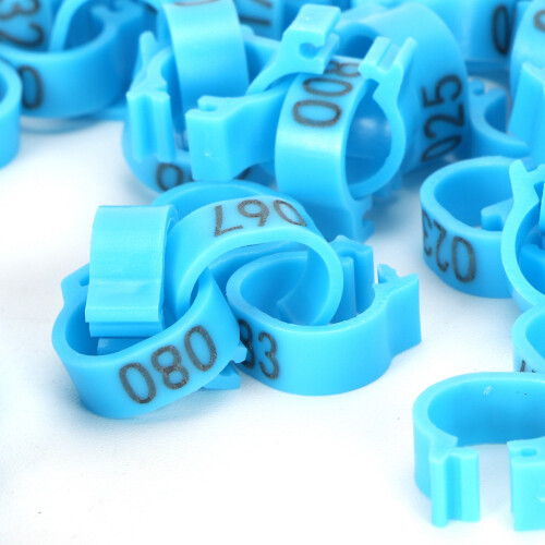 Nummernring 8mm Blau Taubenfußring 001–100