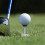 4Pcs/set More Distance Consistent Height Tees Golfs Tees Golfs Holder Tees Set 7