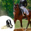 Arched Metal PU Spur Band with Secure Closures for Stable Use Gold 7