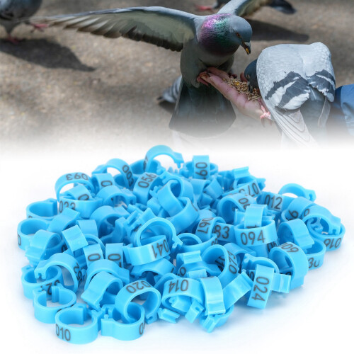Nummernring 8mm Blau Taubenfußring 001–100