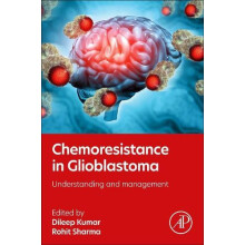 Chemoresistance in Glioblastoma Paperback Book