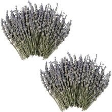 Lavanda Seca 250+ Tallos - Flores Moradas Naturales de 6.7-7.2 Pulgadas para Decoración del Hogar, Arreglos de Jarrón de Artesanías de Boda DIY 50G