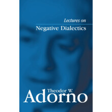 Lectures on Negative Dialectics Fragments of a Lecture Course 19651966