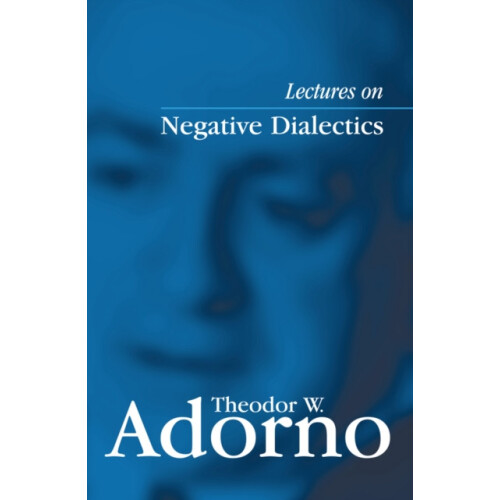 Lectures on Negative Dialectics Fragments of a Lecture Course 19651966