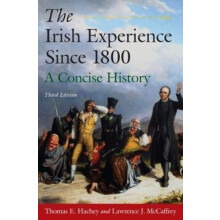 The Irish Experience Since 1800 A Concise History A Concise History by