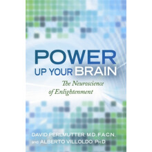 Power Up Your Brain The Neuroscience of Enlightenment by David Perlmut