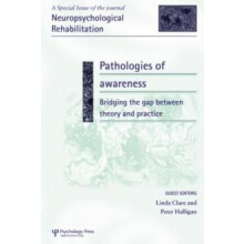 Pathologies of Awareness Bridging the Gap between Theory and Practice