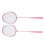 Badminton Set Eisenlegierung Komplett 1