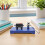 Physics Teaching Demonstration Apparatus for Inertia and Motion Concept Display 6