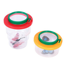 Clear Insect Collector Box for Guided Nature Exploration and Home Study yellow green