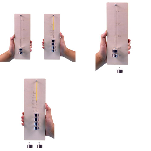 Science Lesson Force Demonstration Board with Marked Scale View spring type 1