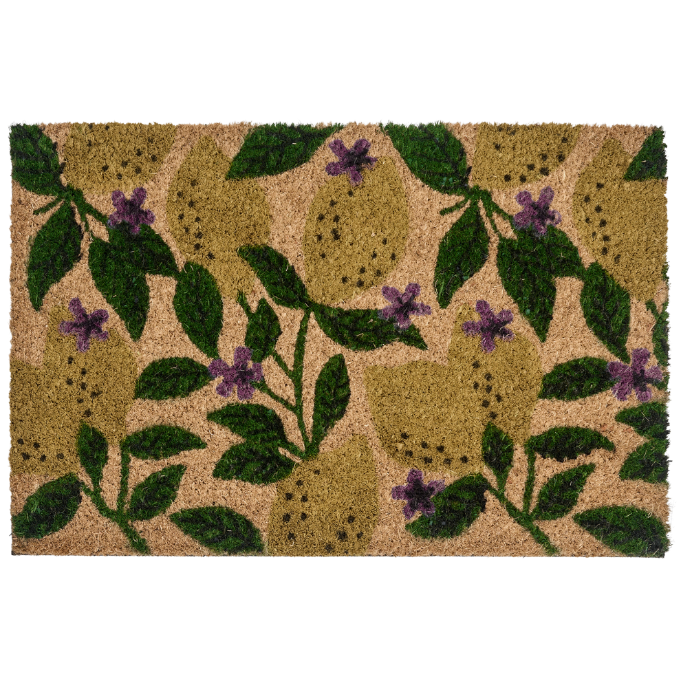 Photos - Doormat Beliani  TAZLINA Multicolour 40 x 60 cm Lemon Coir 