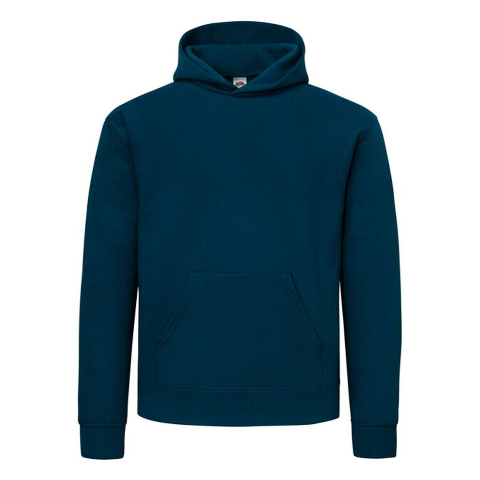 Fruit Of The Loom (3Xl, Mountain Blue) Mens Supercotton Hoodie