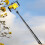 Telescoping Rod Extendable Selfie Stick for Cameras &Tripods Stability & Solid Grey 10