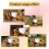 12 Pack Horizontal Chicken Nipples Waterer - Automatic Poultry Drinkers for Easy Installation and Clean Water Supply 7