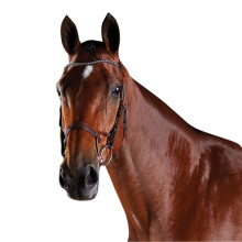 (Warmblood, Brown) Collegiate Comfitec Crystal Leather Bridle