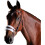 (Cob, Brown) Collegiate Comfitec Leather Training Bridle 1