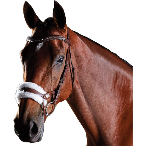 (Cob, Brown) Collegiate Comfitec Leather Training Bridle