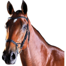 (Pony, Black) Collegiate Comfitec Leather Training Bridle