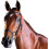 (Pony, Black) Collegiate Comfitec Leather Training Bridle 1