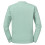 Russell (L, Eucalyptus) Russell Mens Authentic Plain Sweatshirt 2