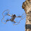 3 Pro Drone Propeller Guard Quick Release Propeller Bumper Drone Blade 3